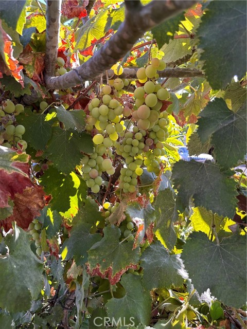 MLS #OC25188336 image #22