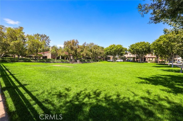 MLS #OC25189266 image #24