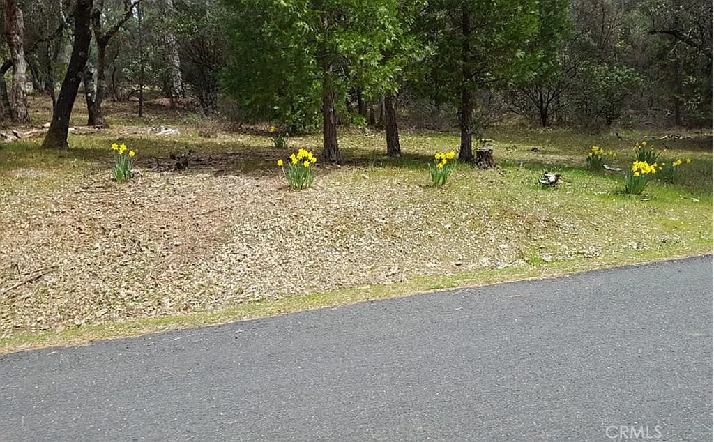 MLS #OC25189863 image #1