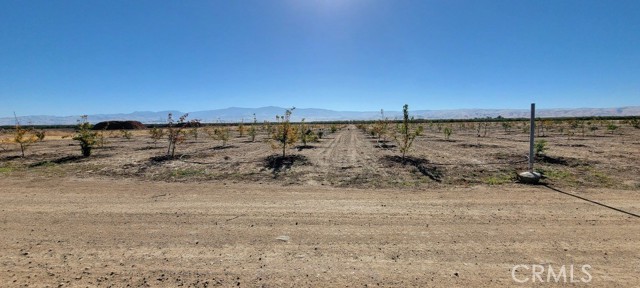 MLS #OC25190022 image #0