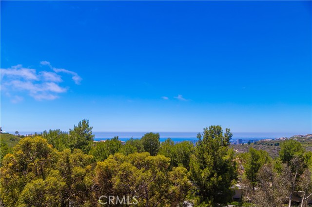 MLS #OC25190154 image #28