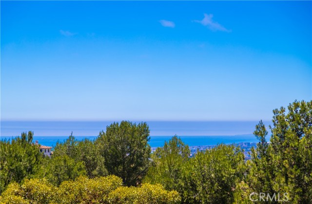 MLS #OC25190154 image #29