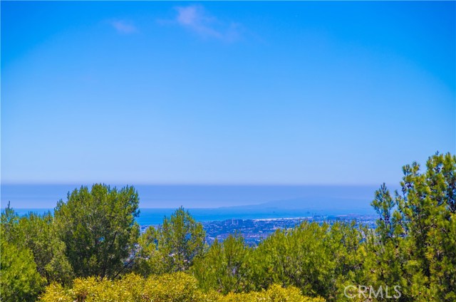 MLS #OC25190154 image #30