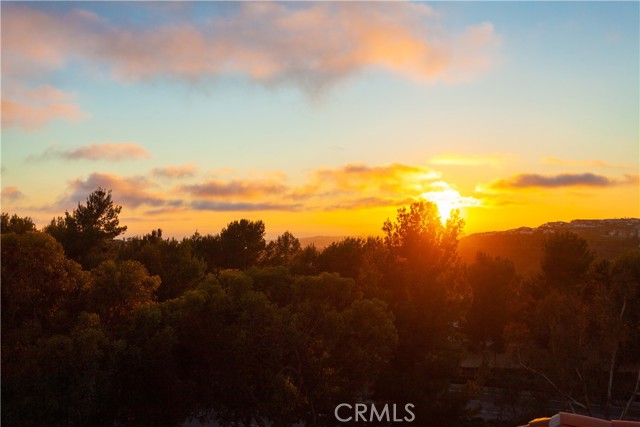 MLS #OC25190154 image #55