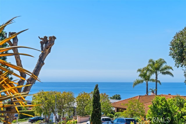 MLS #OC25190867 image #4