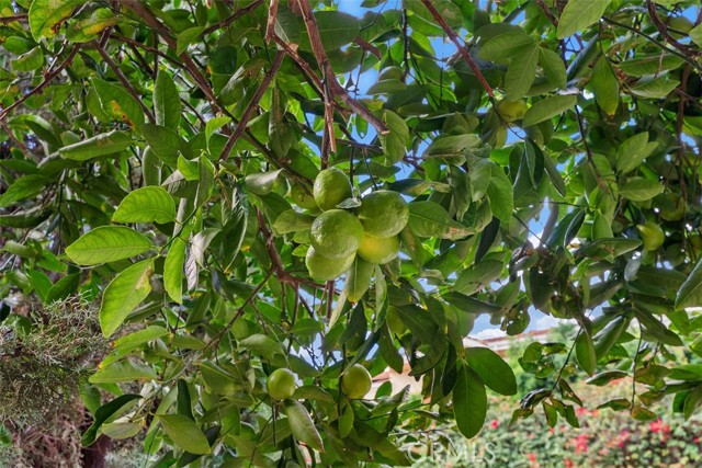 MLS #OC25191173 image #27