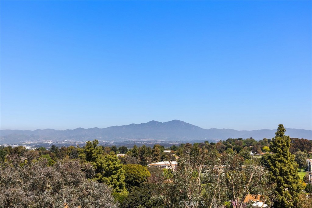 MLS #OC25191350 image #26