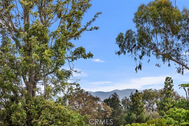 MLS #OC25192781 image #34