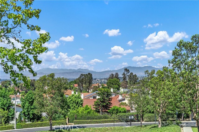 MLS #OC25195324 img 22