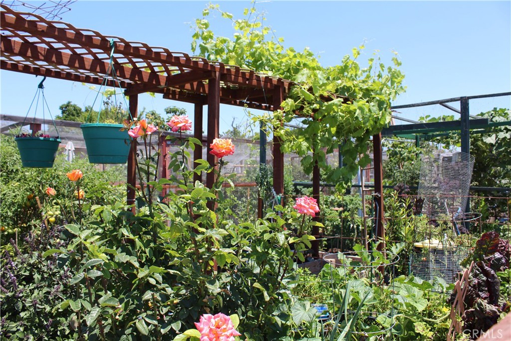 MLS #OC25195732 image #28