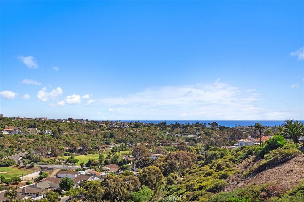 MLS #OC25199068 image #43