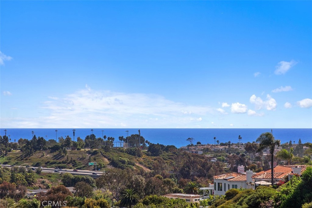 MLS #OC25199068 image #49