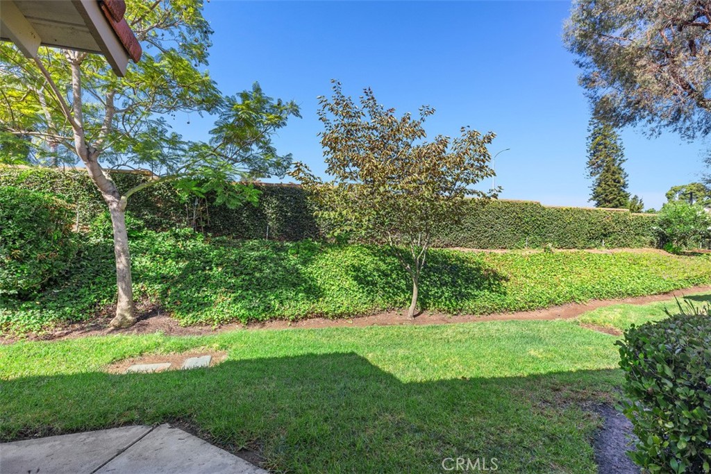 MLS #OC25200829 image #6