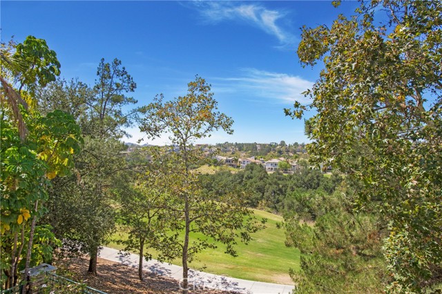 MLS #OC25200986 image #24