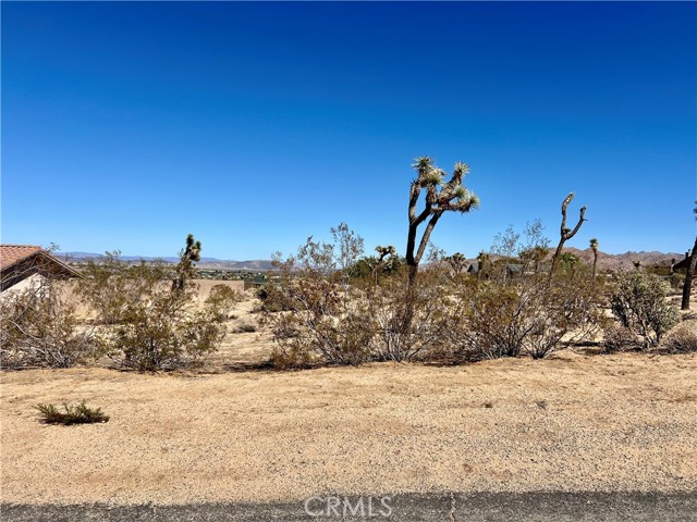 MLS #OC25211044 image #1