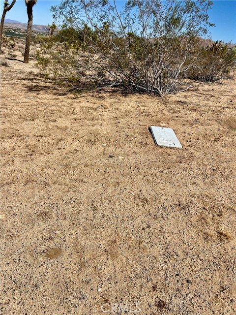 MLS #OC25211044 image #10