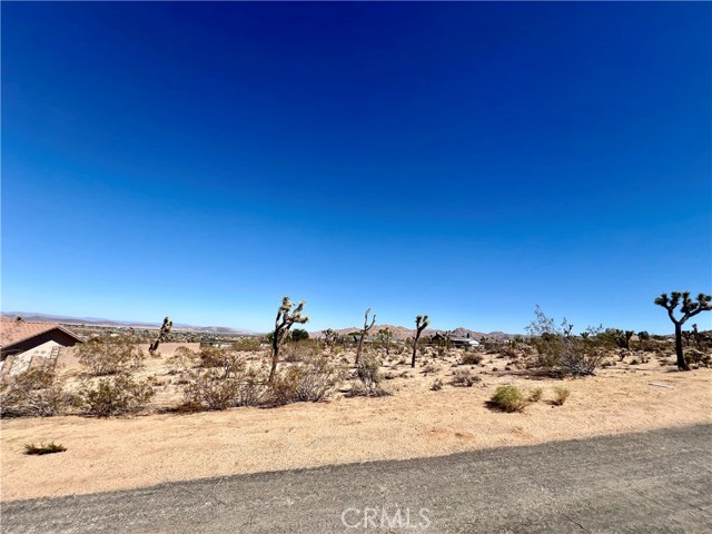 MLS #OC25211044 image #5