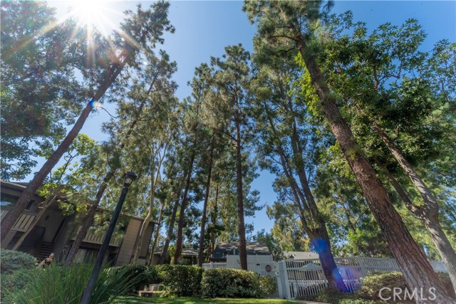 MLS #OC25216333 image #17