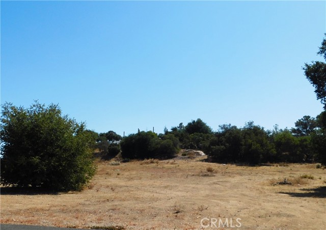 MLS #OC25216790 image #7