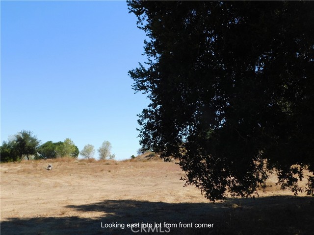 MLS #OC25216790 image #8