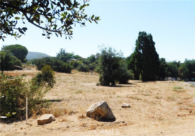 MLS #OC25216790 image #9