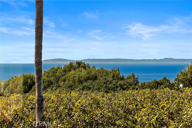 MLS #OC25217480 image #56