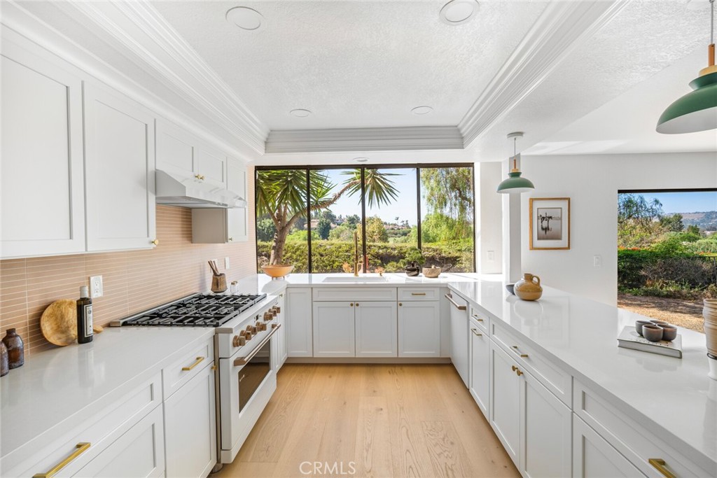 MLS #OC25218352 image #9