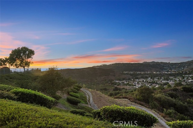 MLS #OC25221297 image #45