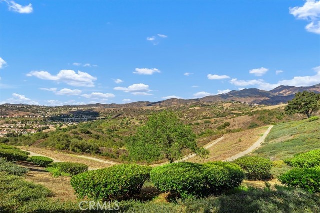 MLS #OC25221297 image #46