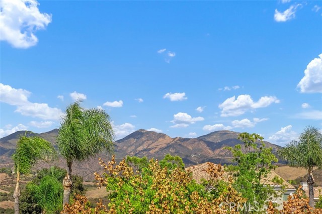 MLS #OC25221297 image #47