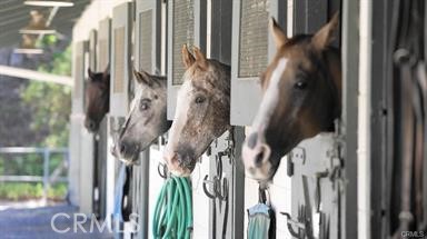 MLS #OC25223447 image #27