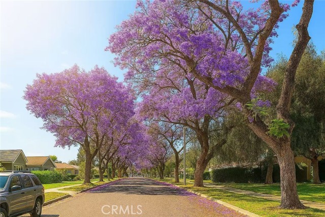 MLS #OC25224145 image #52