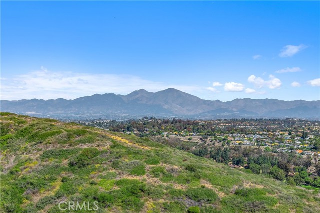 MLS #OC25225266 image #10