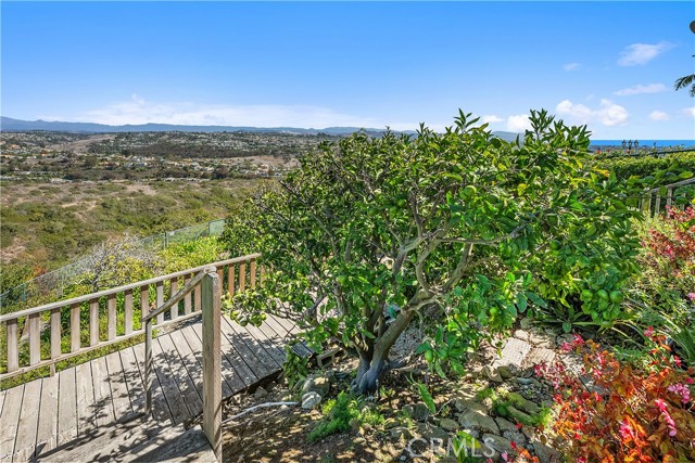 MLS #OC25225266 image #43