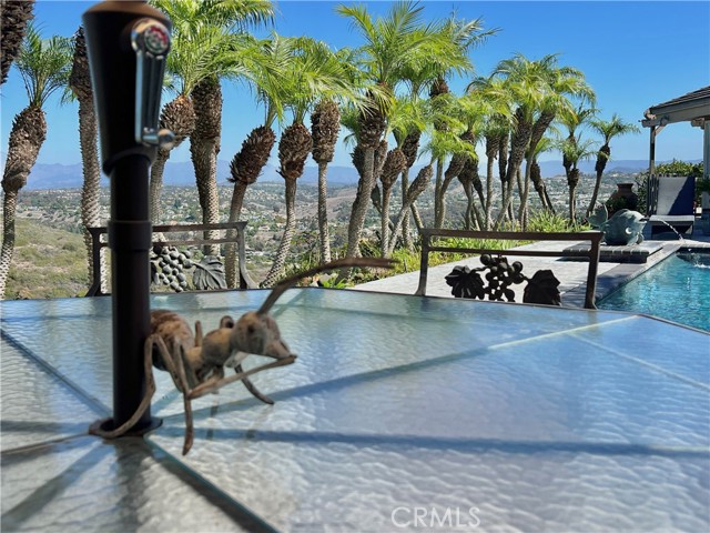 MLS #OC25225266 image #60