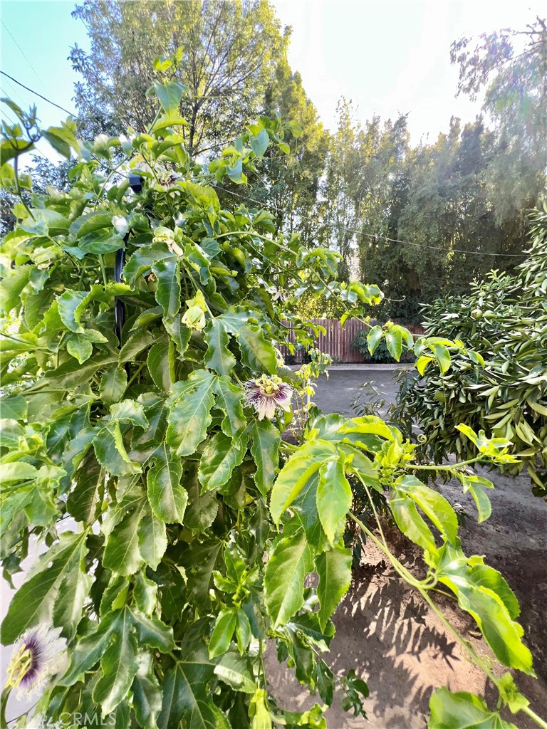 MLS #OC25225415 image #47