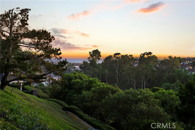 MLS #OC25226121 image #36