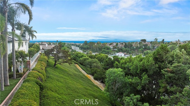 MLS #OC25226121 image #48