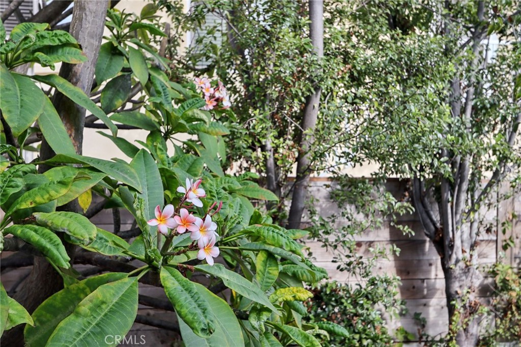 MLS #OC25226385 image #10