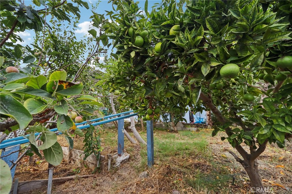 MLS #OC25226385 image #11