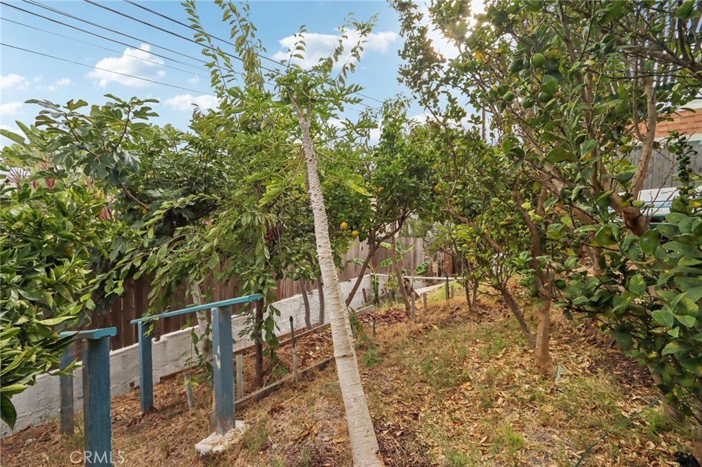 MLS #OC25226385 image #6