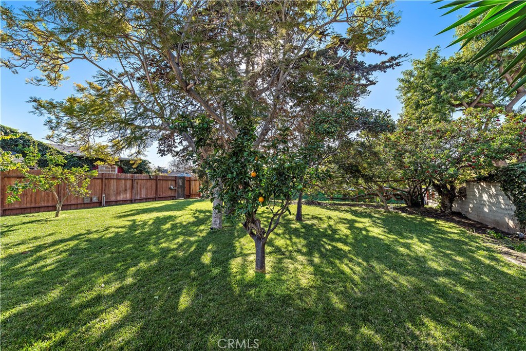 MLS #OC25226856 image #6