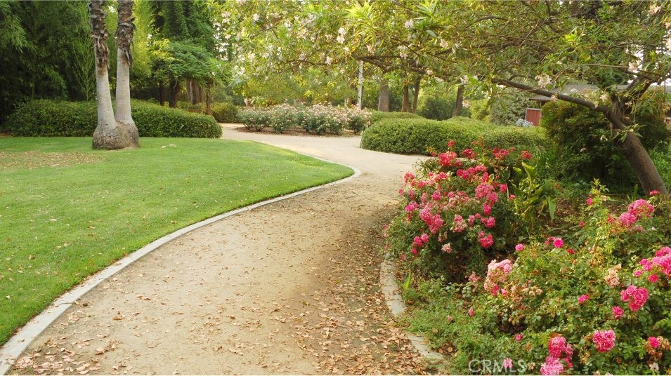 MLS #OC25227703 image #37