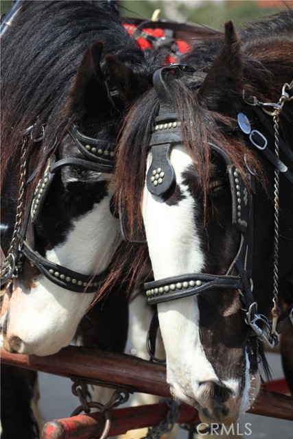 MLS #OC25227880 image #27