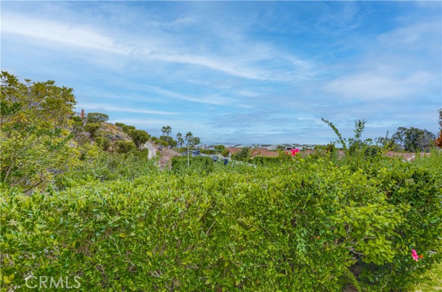 MLS #OC25228258 image #52