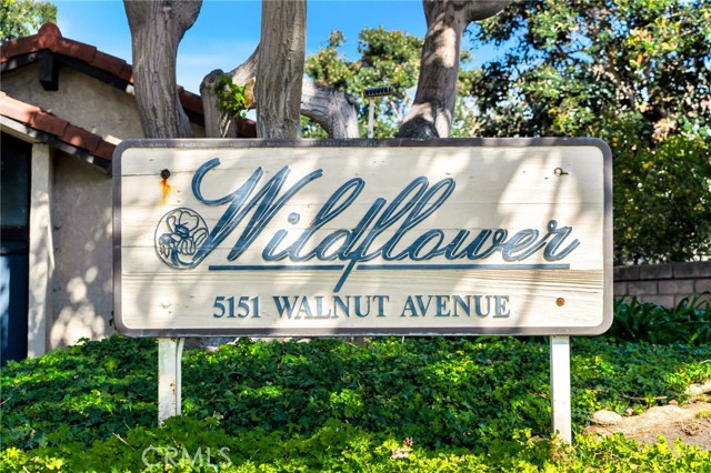 MLS #OC25229284 image #30