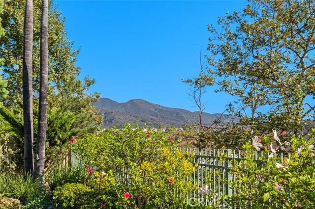 MLS #OC25230140 image #39