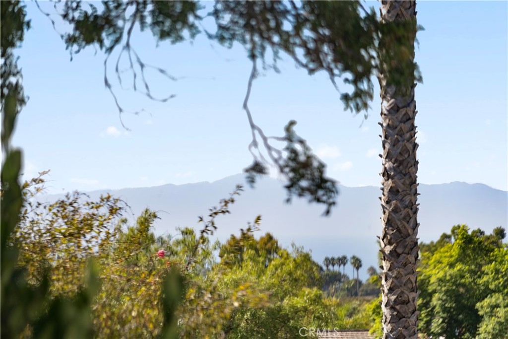 MLS #OC25230705 image #23