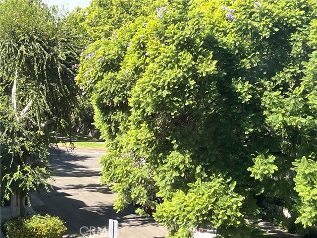 MLS #OC25232660 image #33