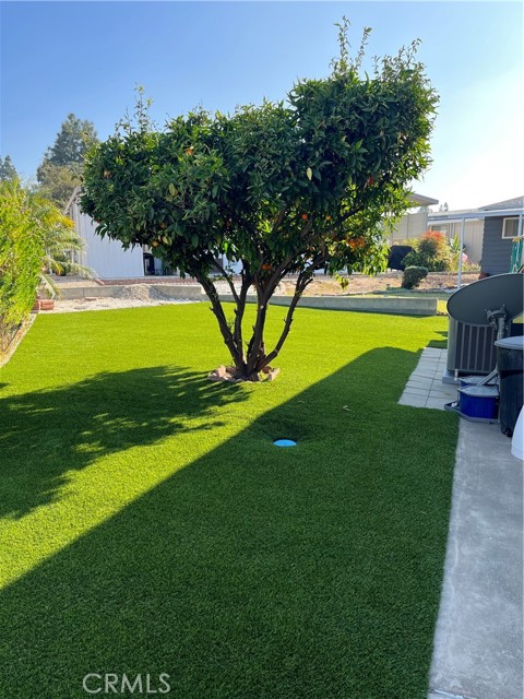 MLS #OC25232945 image #3